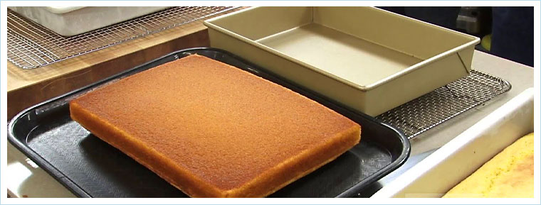 STRUCTURE SILICONE™ PRO SQUARE CAKE PAN 8x8