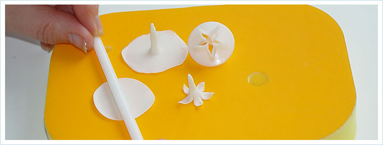 Fondant Tools for Beginners: 6 Essential Tools to Have! 