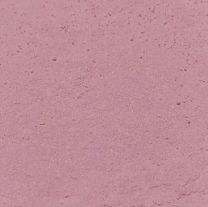 Elite Color Baby Pink Dust, 2.5 grams