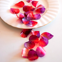 Edible Rose Petals - Cerise Pink and White